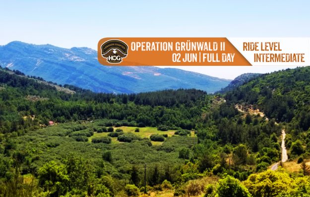 Operation GruÌˆnwald II