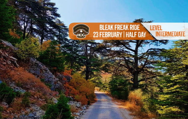 Bleak Freak Ride Mail