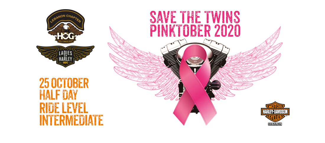 Save the twins