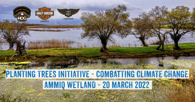 Planting Trees Event