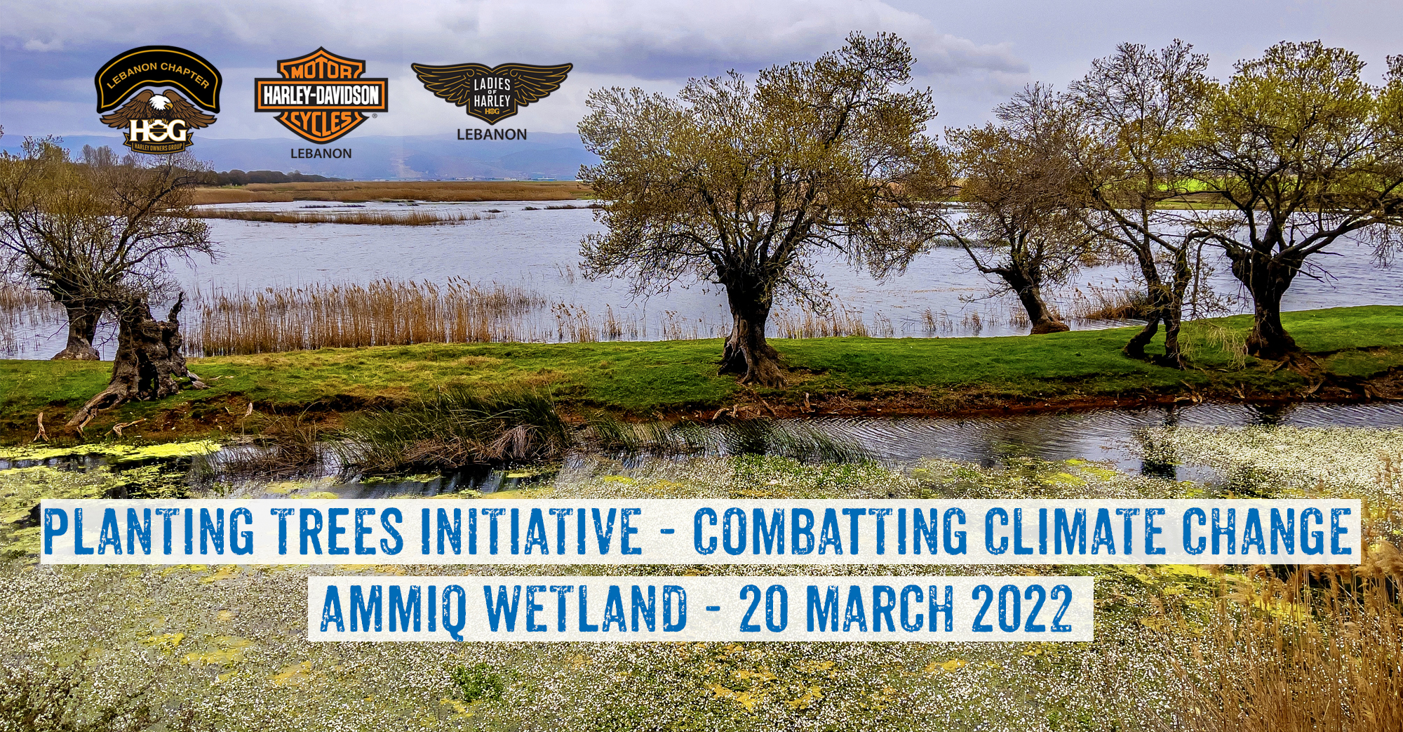 Planting Trees Event