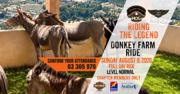 Donkey Farm Ride 2